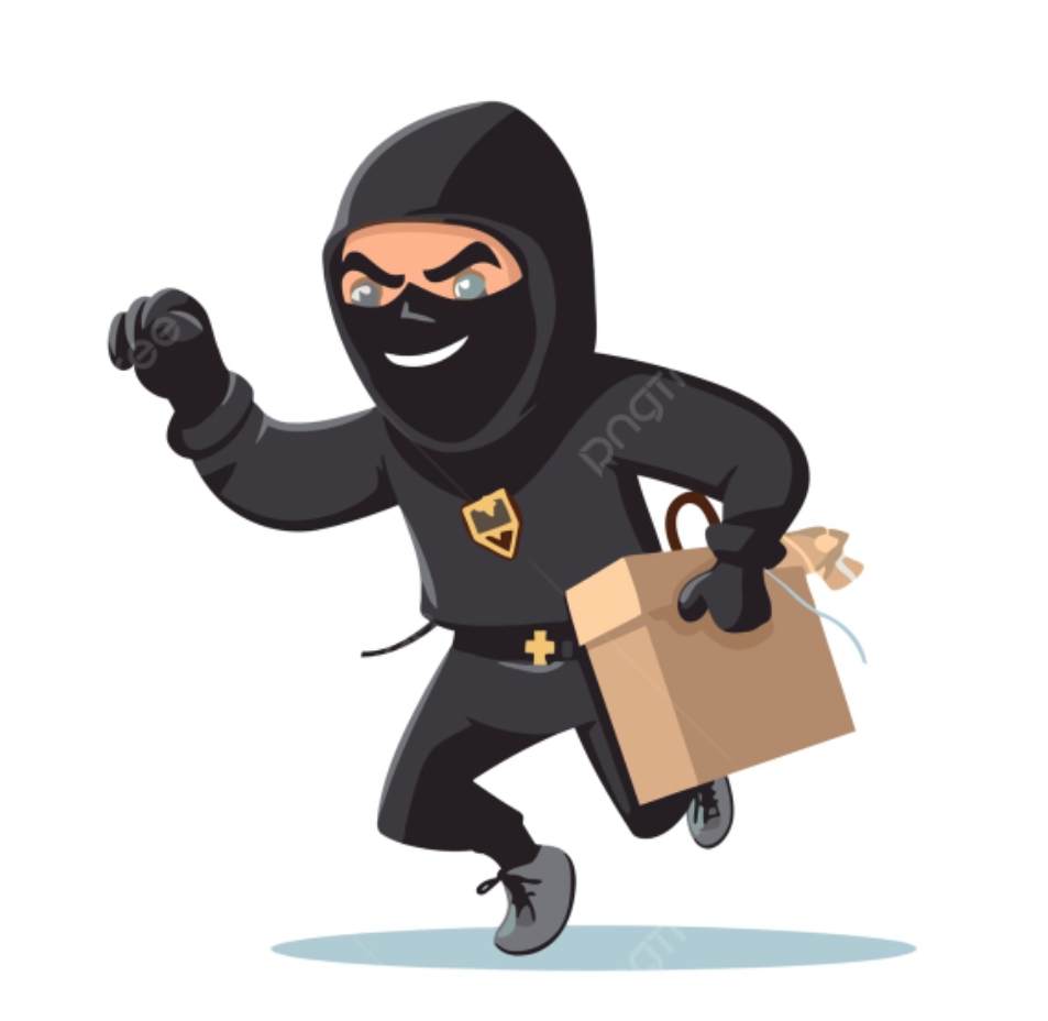 बर्दियामा चोरीका घटना निरन्तर बढ्दा जनजीवन असुरक्षित